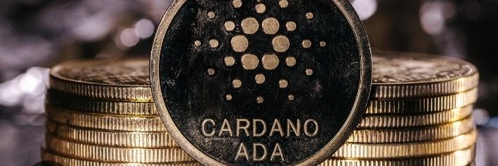 binanzeada.s banner