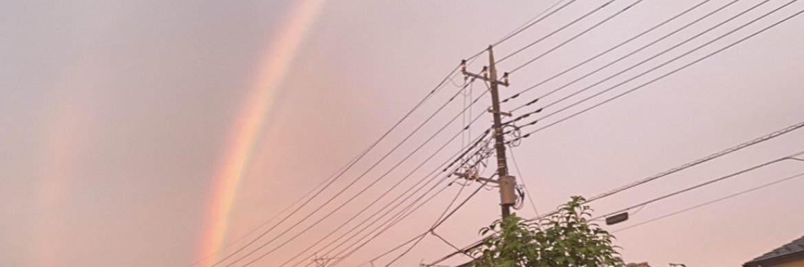 🐨 banner