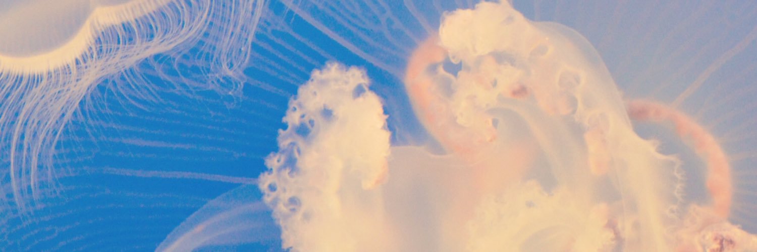 rachaelize's profile banner image