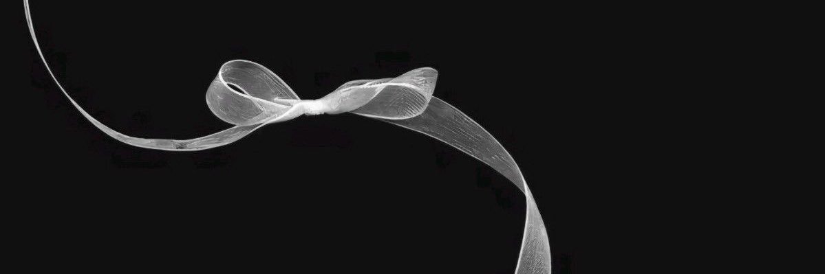 𝐾𝐴𝑁𝐴 banner