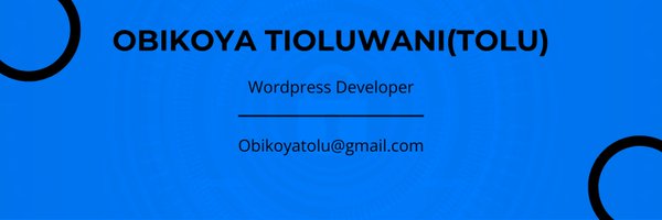 tolu_webdev Profile Banner