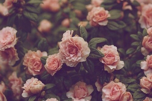 XO_Alicia's profile banner image