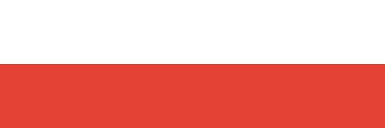 Towarzysz Artem 🇵🇱🚩✝️ banner