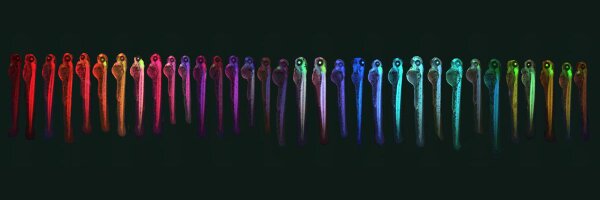 leonard_zon Profile Banner