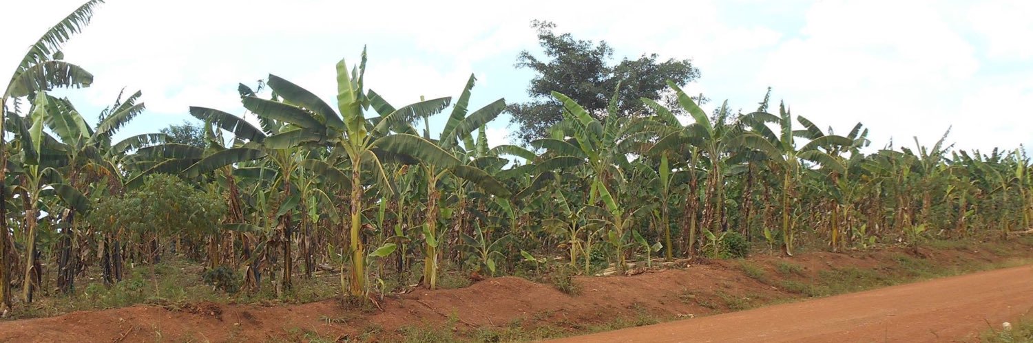 Juliet  Lubega banner