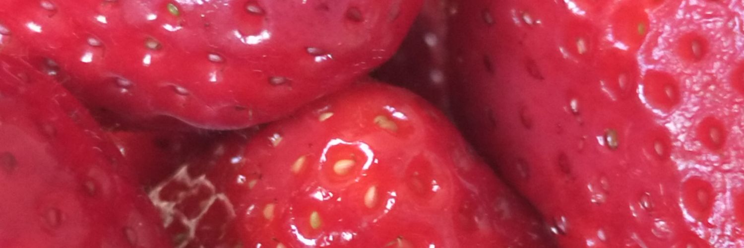 茹でた孫😽🍓 banner