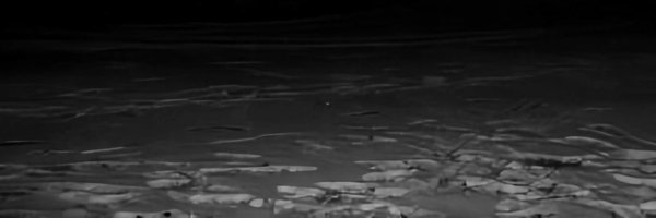 1984_rip Profile Banner