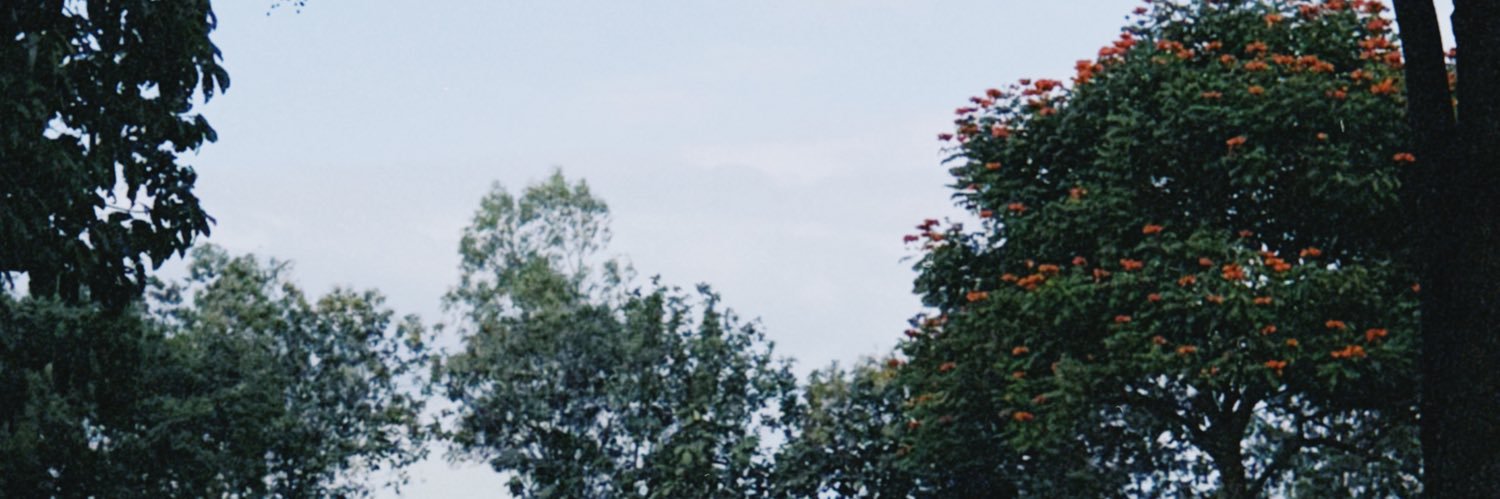 jqni0's profile banner image