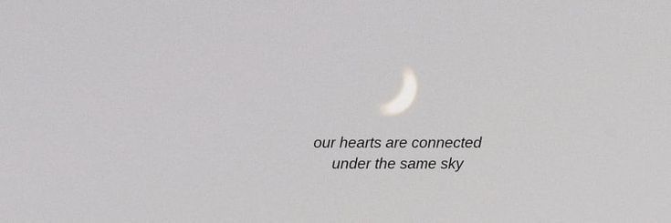 HHachi12's profile banner image