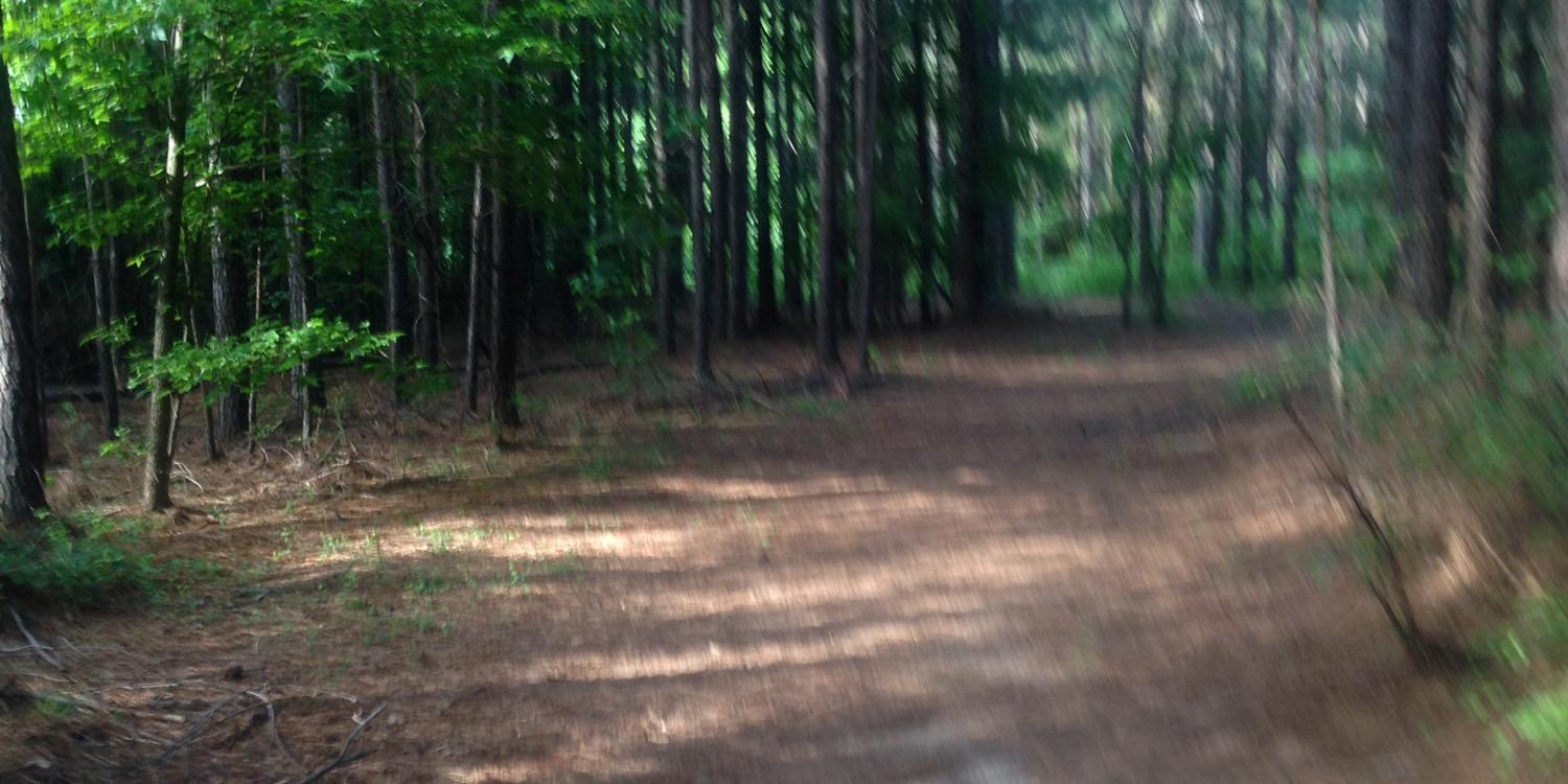 allisonserraes's profile banner image