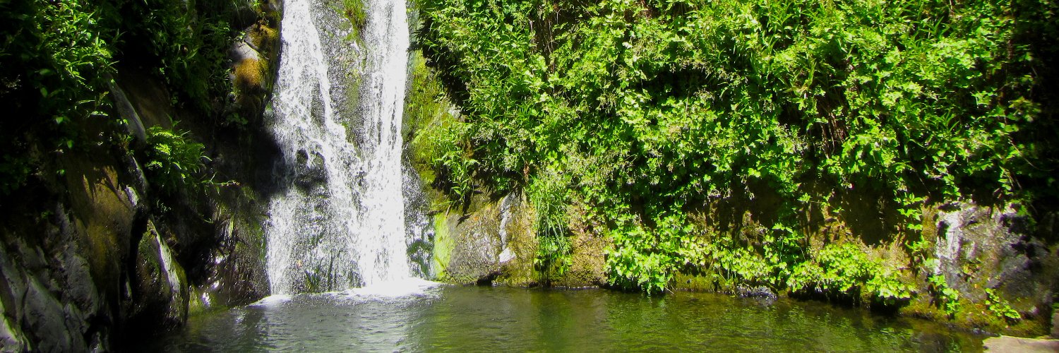 danitafleck's profile banner image