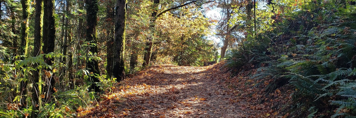 MichelleRafter banner