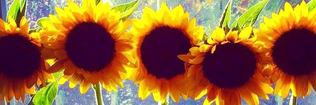 jennyluve's profile banner image