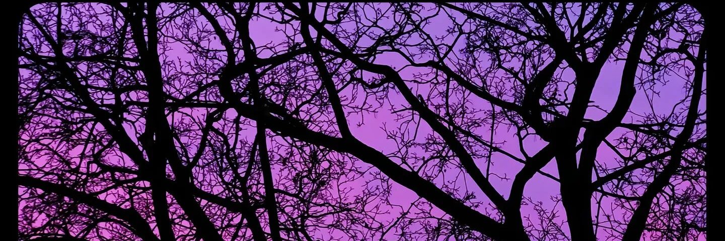 BlueP212's profile banner image