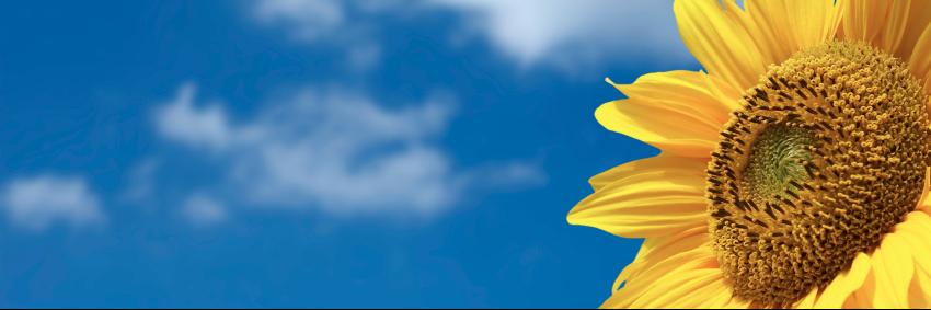 creative_change's profile banner image