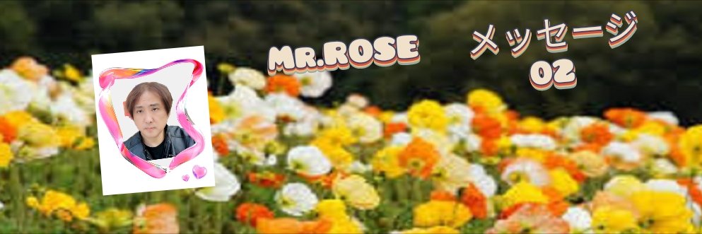 rose_444999's profile banner image