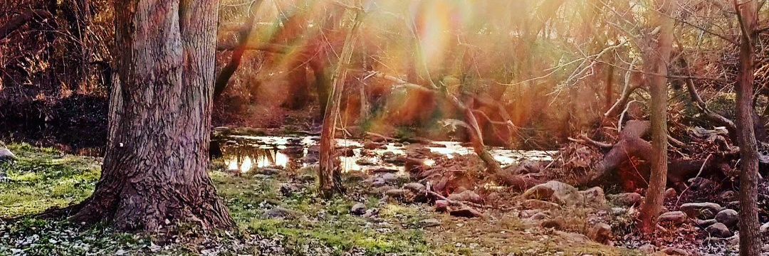 Fulano de tal banner