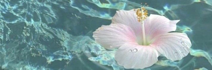 andi ✧.* ⋆˙'s banner