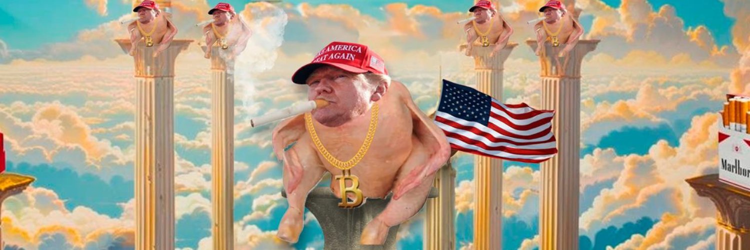 BTCTrumpChicken's profile banner image