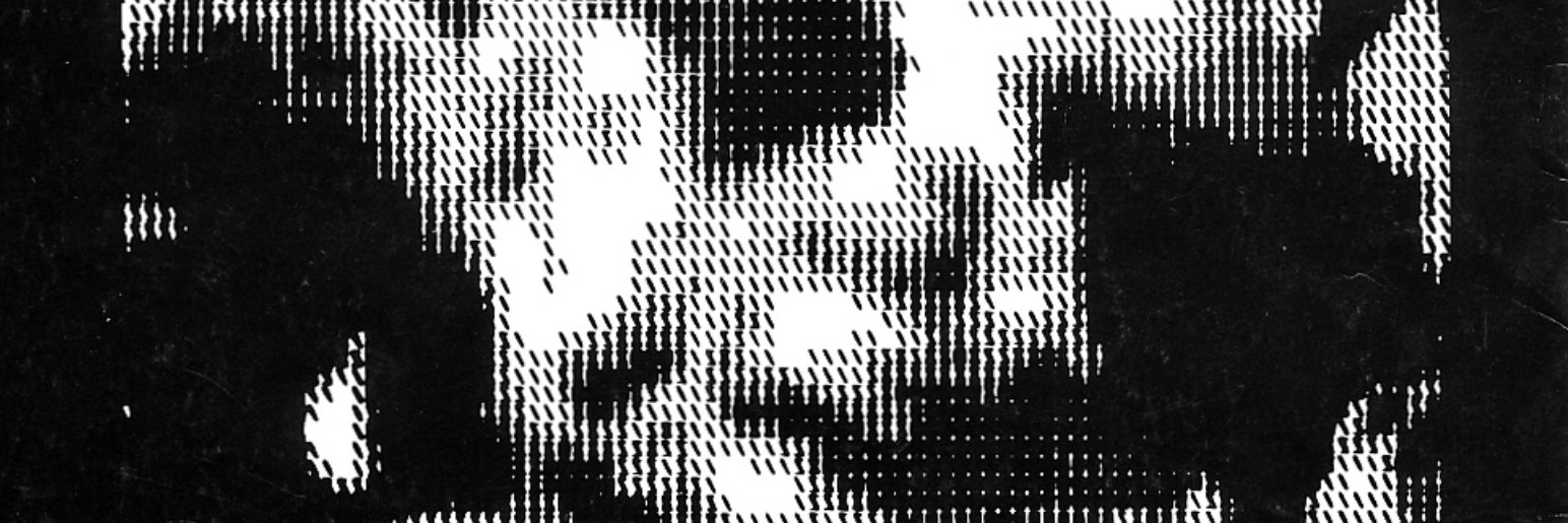 lisekyle's profile banner image