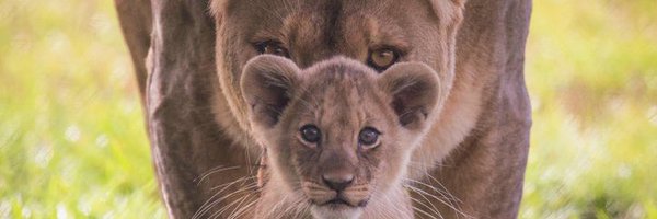 FlemingBryson Profile Banner