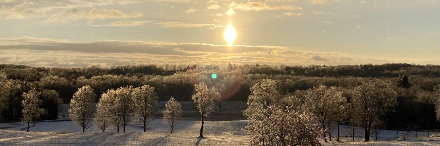 KristaKline's profile banner image