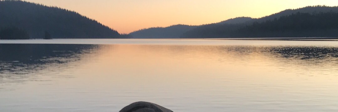 MayaMarley21's profile banner image