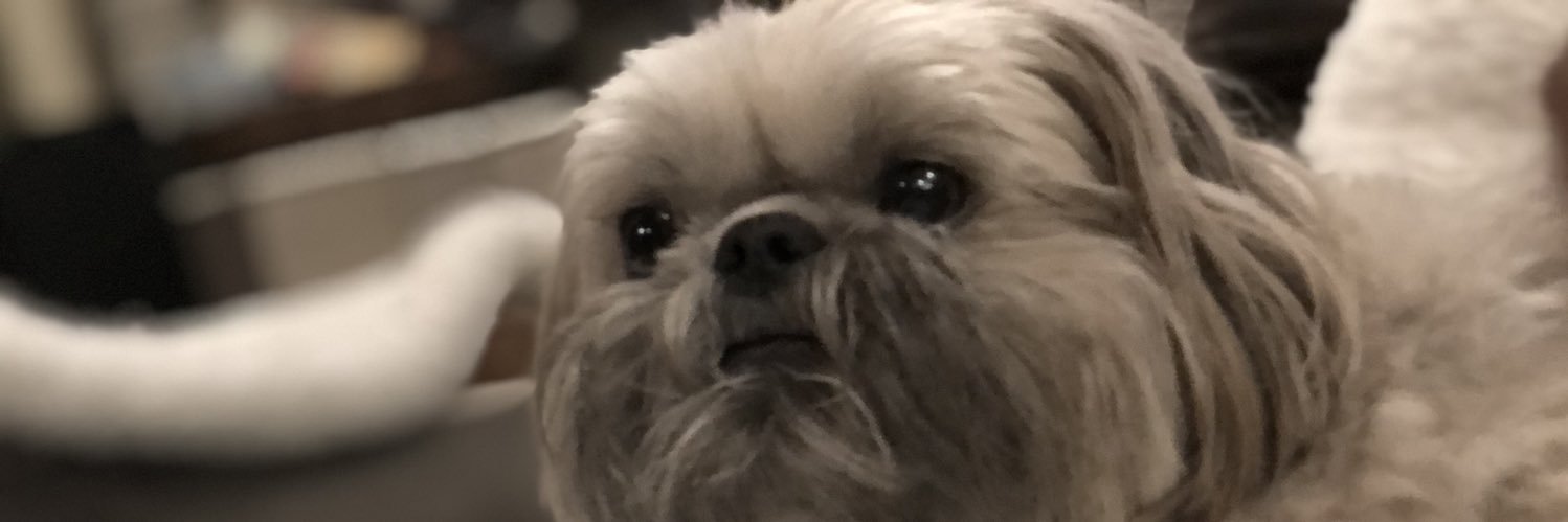 Reauxhan's profile banner image