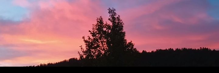 Mary Preisinger banner