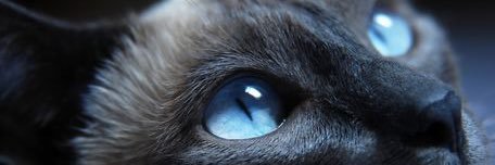 garykaifong's profile banner image