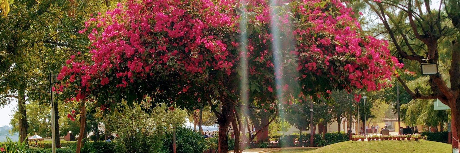 plussushant's profile banner image