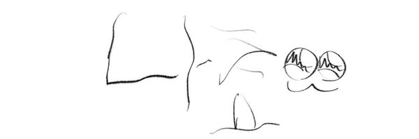 stemstem240 Profile Banner