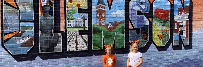 clemsonfeature's profile banner image