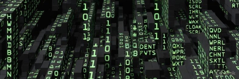 Satoshi’s Musk⚡️ banner