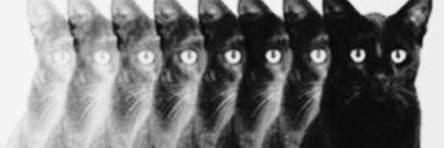 nosferallex's profile banner image