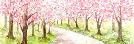 rara🎀1y banner