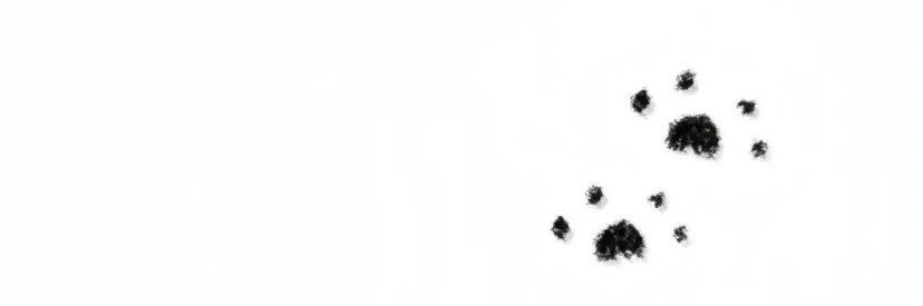 nothing_2224's profile banner image