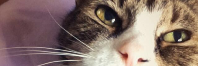 jastylr's profile banner image