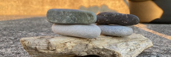 THOMASSONBRO Profile Banner