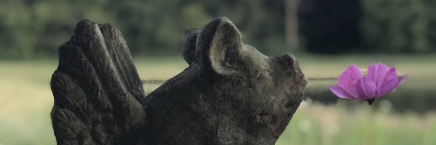 Teri Ditslear banner