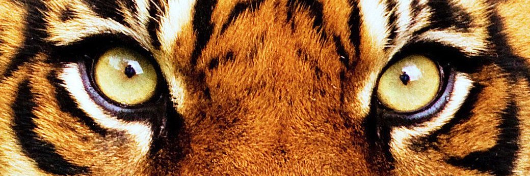 Jkugzzz's profile banner image