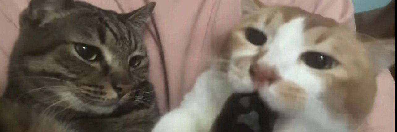 bethy 🇹🇷 banner