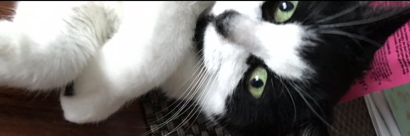 Sammie Ⓥ🌱 banner