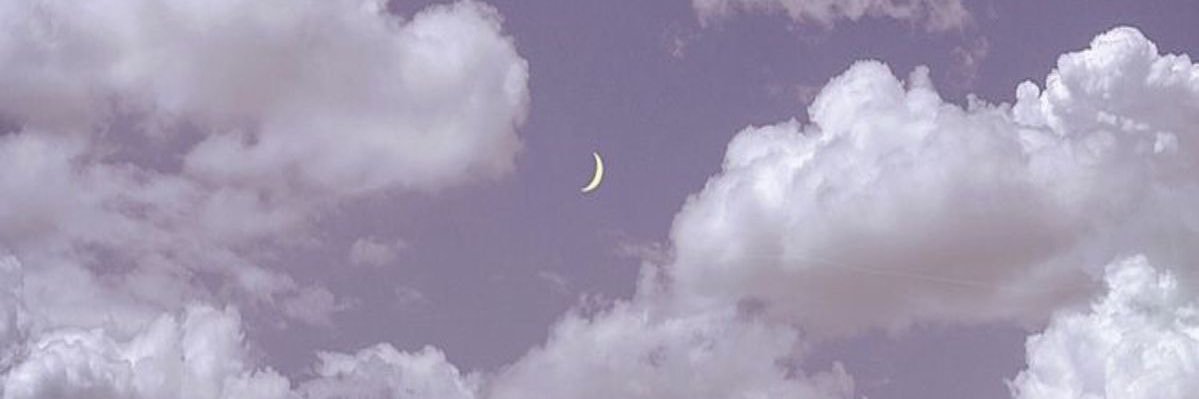 ミズ。 banner