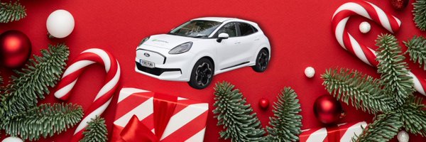 irishguidedogs Profile Banner