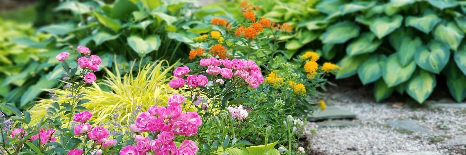 AuthorHenya's profile banner image