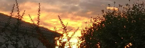 clivrette Profile Banner