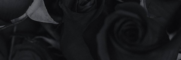 PR_Johnson Profile Banner