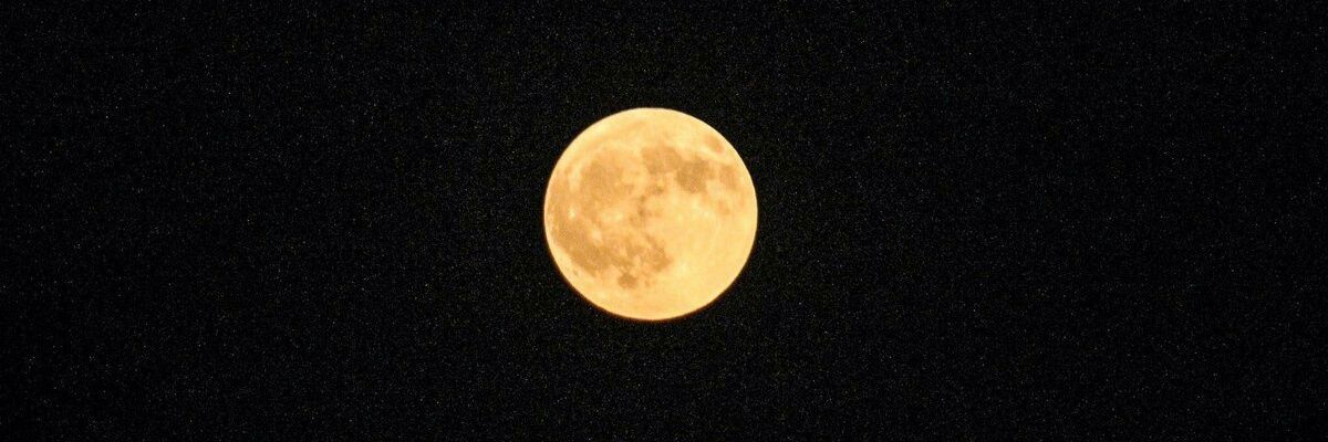 luanawinch's profile banner image
