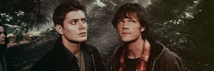 Fã N°1 do nariz de elfo do Jared banner